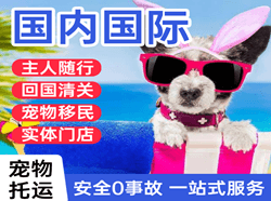 常德空运国际宠物托运 【国